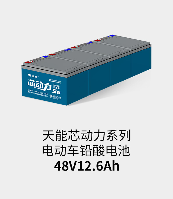 佰富彩主页电池48v12ah