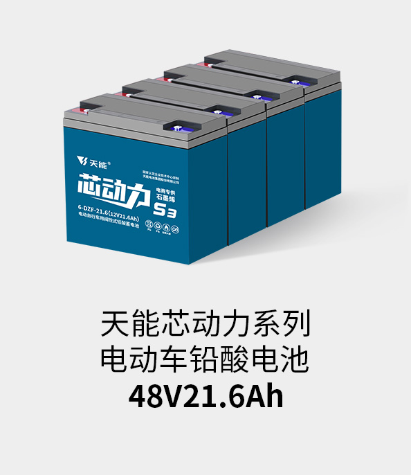 佰富彩主页电池48v20ah