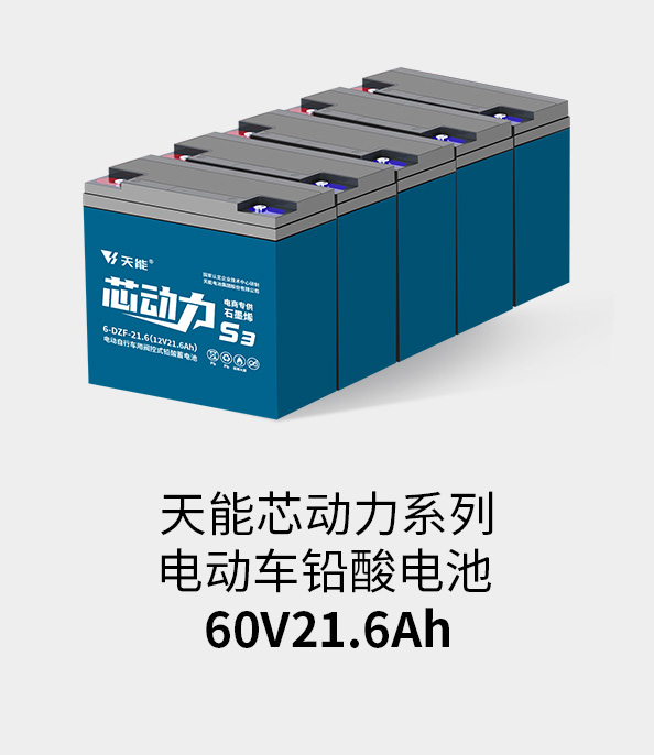 佰富彩主页电池60v20ah
