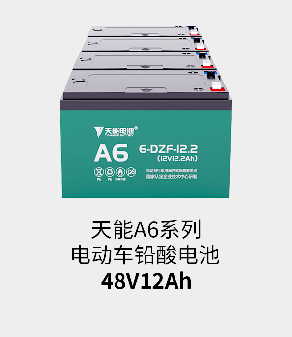 佰富彩主页电池48v12ah