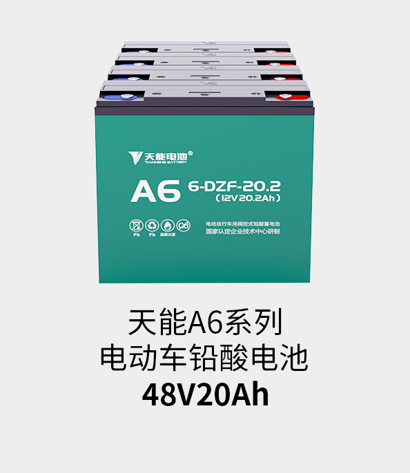 佰富彩主页电池48v20ah