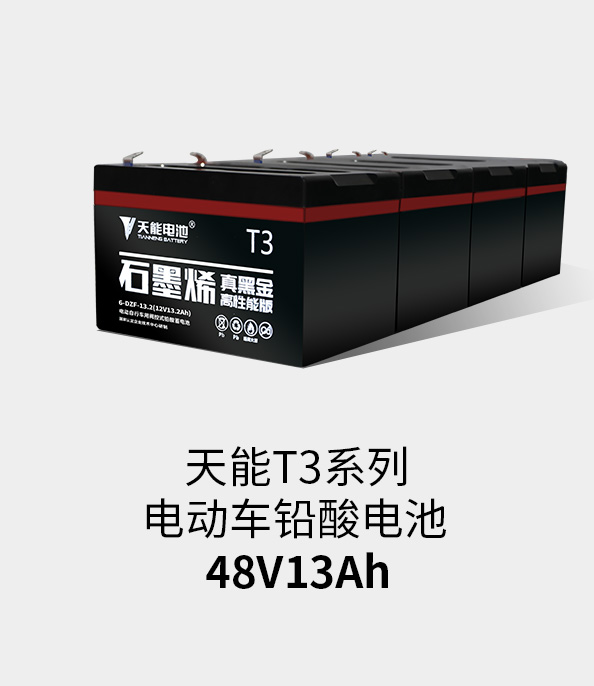 佰富彩主页T3系列48v13ah