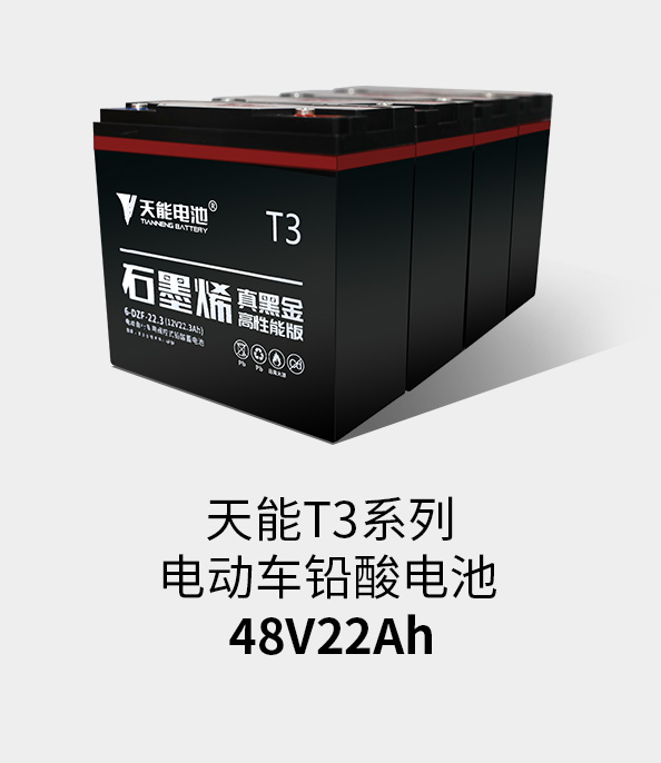 佰富彩主页T3系列48v22ah