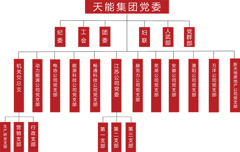 佰富彩主页建团党委组织架构